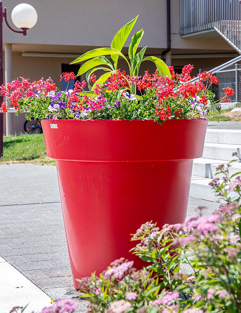 Pot de fleurs en plastique de grande taille de couleur rouge avec des fleurs de multiples couleurs