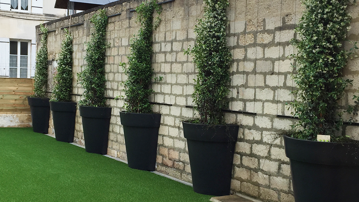 Six demi-pots de fleurs de couleur noire contre un mur, pelouse verte, maison en arrière-plan