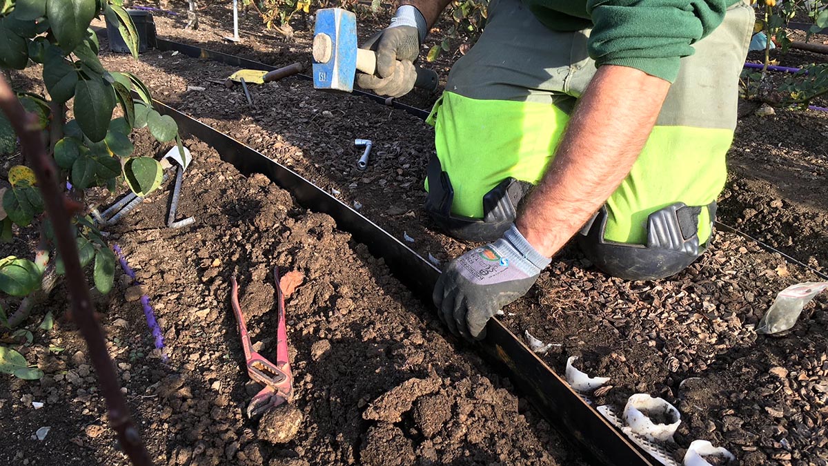 Paysagiste en train de poser une bordure de jardin en acier corten