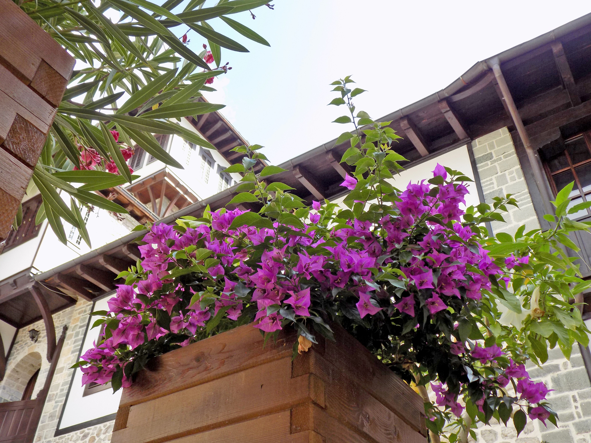 Pot de fleurs fait maison, afin d'apporter des touches de couleurs à votre maison
