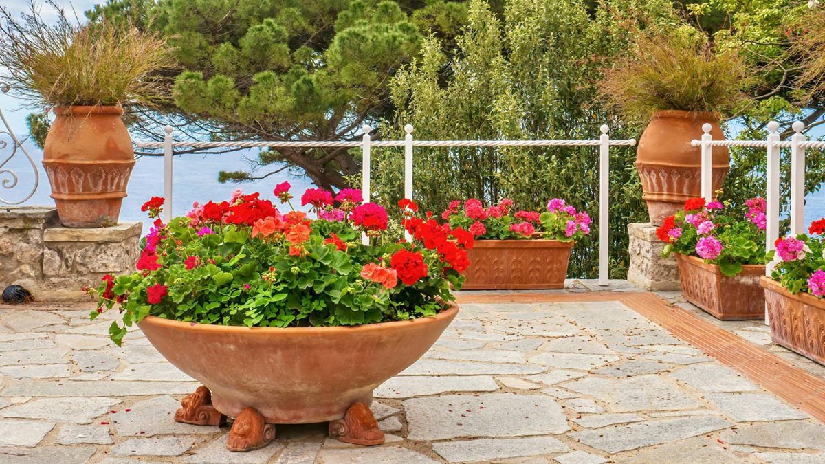 image montrant un volumineux pot de fleurs en terre cuite, planté de fleurs rouges, sunr terrasse carrelée avec un arrière-plan maritime et végétation verdoyante