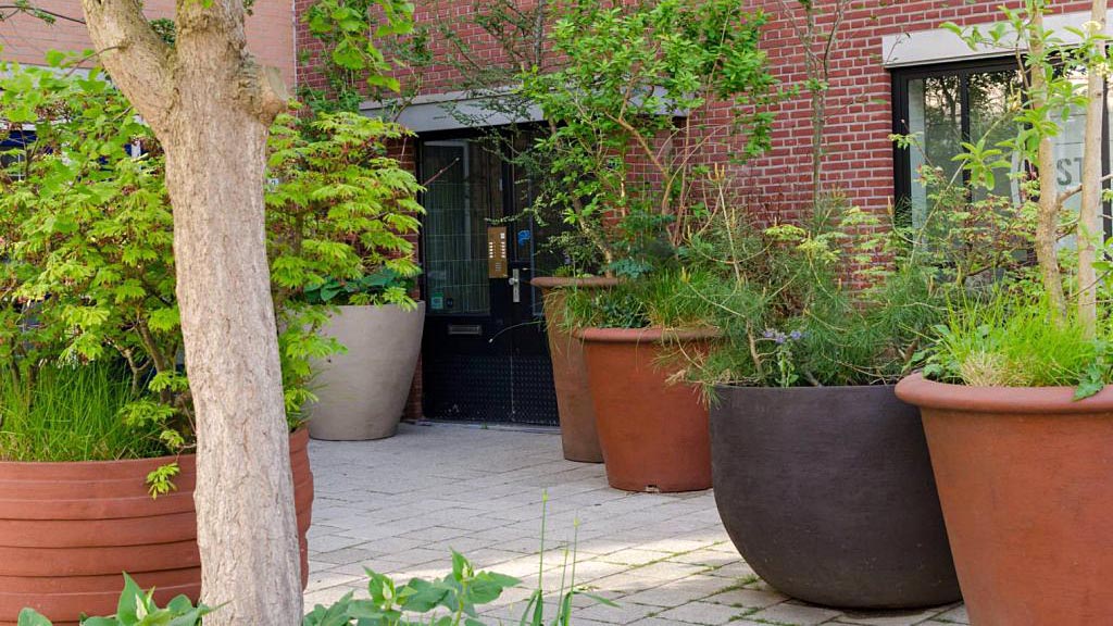 terrasse ombragée avec cinq voluminuex pots de fleurs plantés