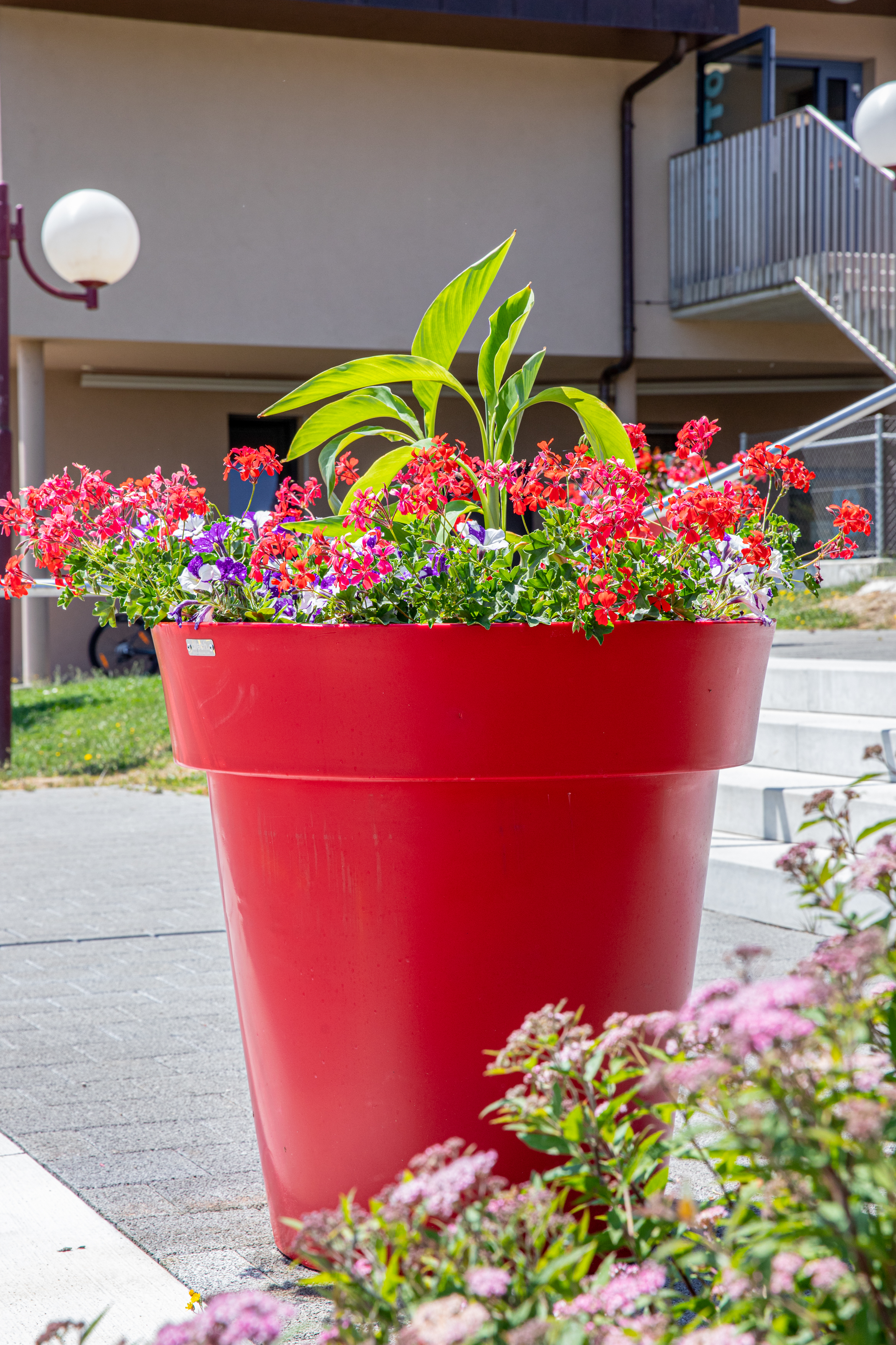 comment choisir son pot de fleurs