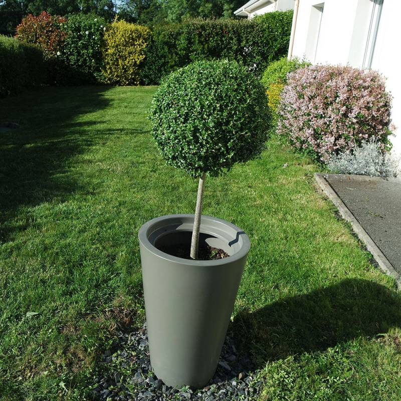 pot de fleurs en plastique vert assez haut forme conique sur une pelouse avec un arbustre tige et boule de feuilles