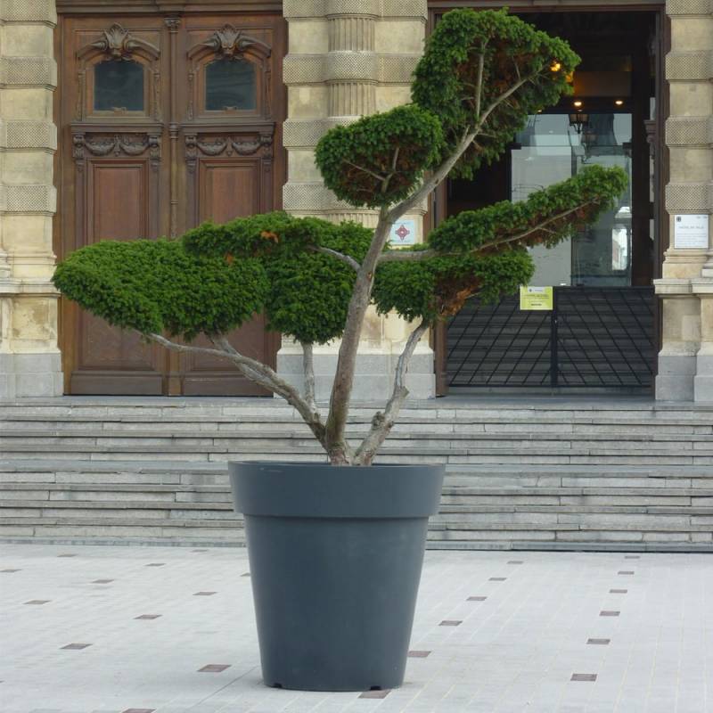 Pot de fleur en plastique ATECH Jardin extra-vase de grande taille posée sur parvis carrelé, un escalier en arrière-plan, un grand arbre planté